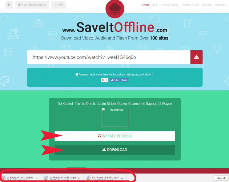 saveitoffline.com step3 download additional formats