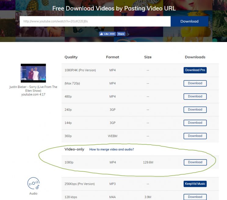 keepvid.com download online video tutorial step 2 enter video url download choices