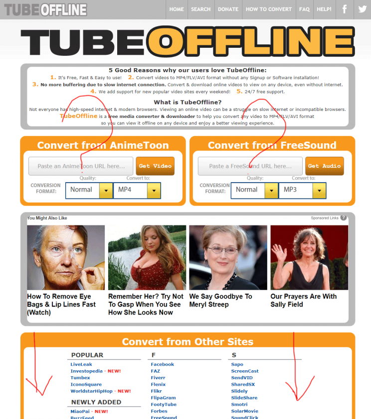TubeOffline.com review tutorial bad user experience step 1 front page