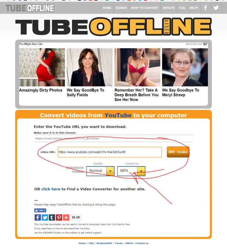 TubeOffline.com review tutorial bad user experience step 6 youtube video downloader page found step 6