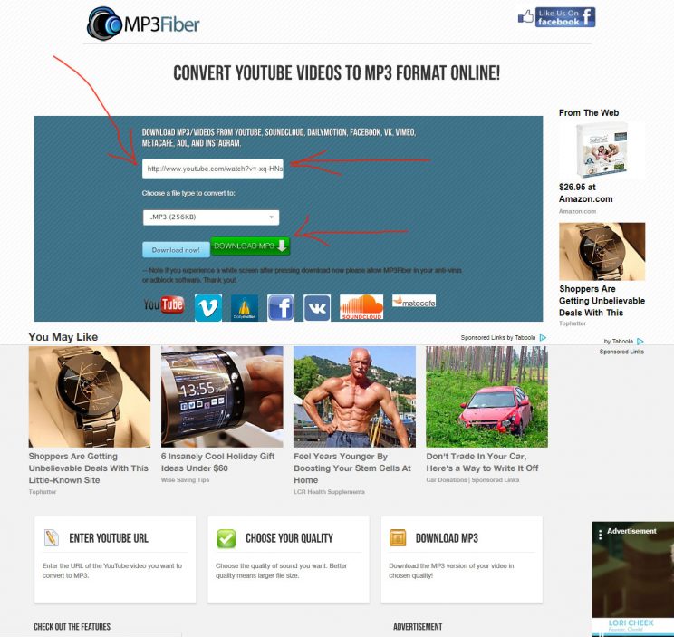 mp3fiber.com review and tutorial step 1 visit mp3fiber.com and enter the video link