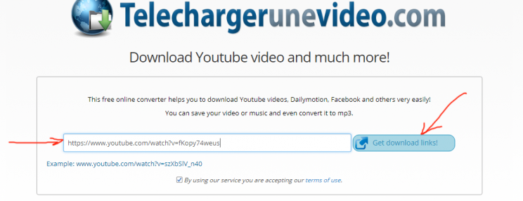 TelechargerUneVideo.com download youtube convert to mp3 tutorial step 2 enter video link and submit