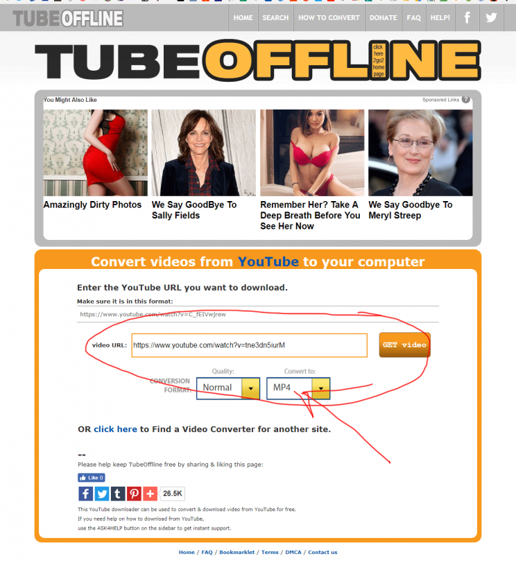 tubeoffline chrome