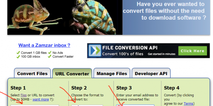 zamzar.com review tutorial step 2 url converter info supply