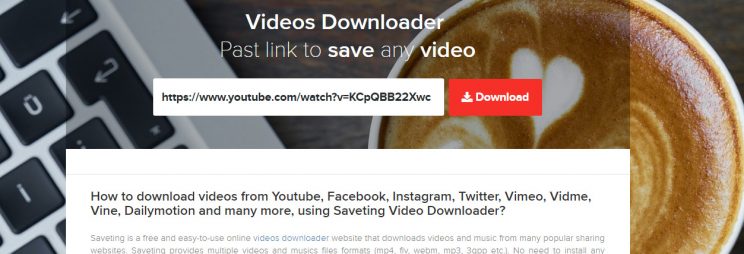 saveting review and tutorial step 2 enter video url and press download
