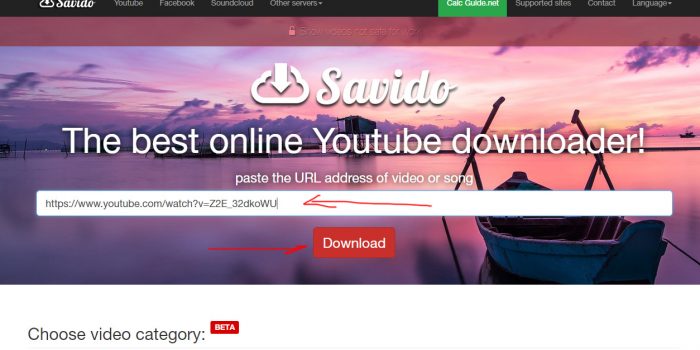 savido.net quick review and tutorial step 2 enter video URL and click download