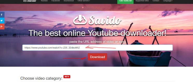 savido.net quick review and tutorial step 2 enter video URL and click download