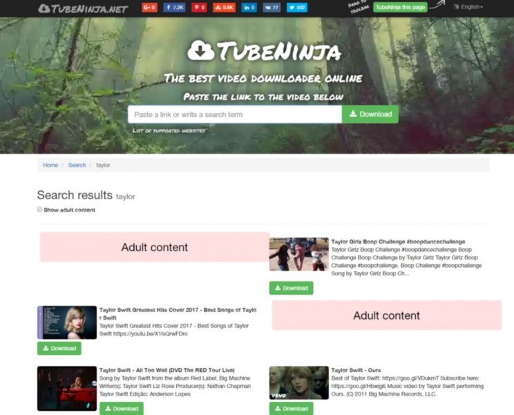 tubeninja review tutorial step 2 searching for taylor swift videos