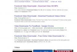 facebook video downloaders according to google