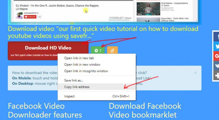 fbvid.org facebook downloader review tutorial step 3 select format and download