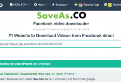 saveas.co-review tutorial step 2 paste video url and submit