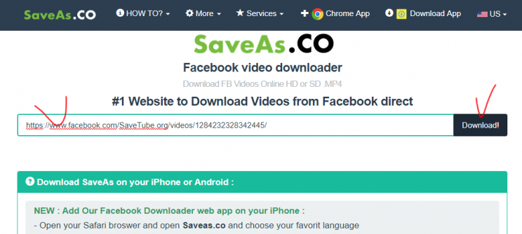 saveas.co-review tutorial step 2 paste video url and submit