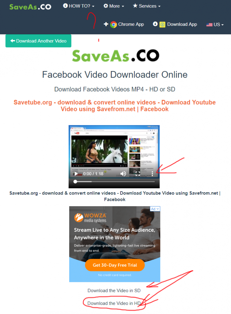 saveas.co-review-tutorial-step-3-select-desired-download-option