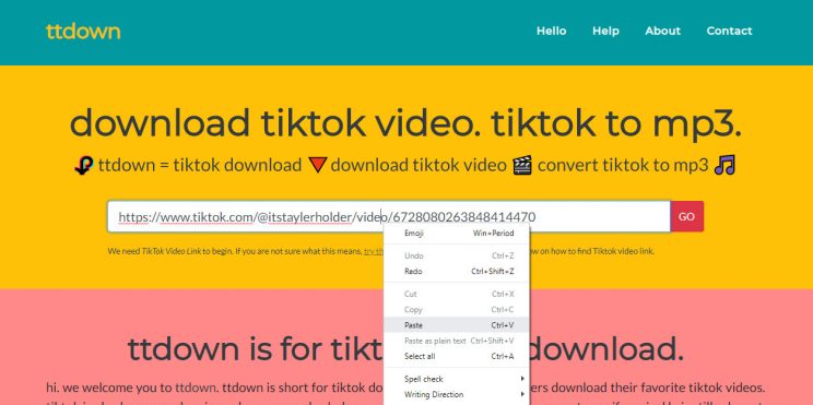 ttdown-org step 1 paste tiktok video link