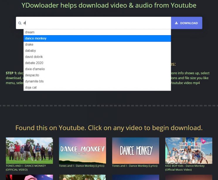 ydownloader search suggestion and results